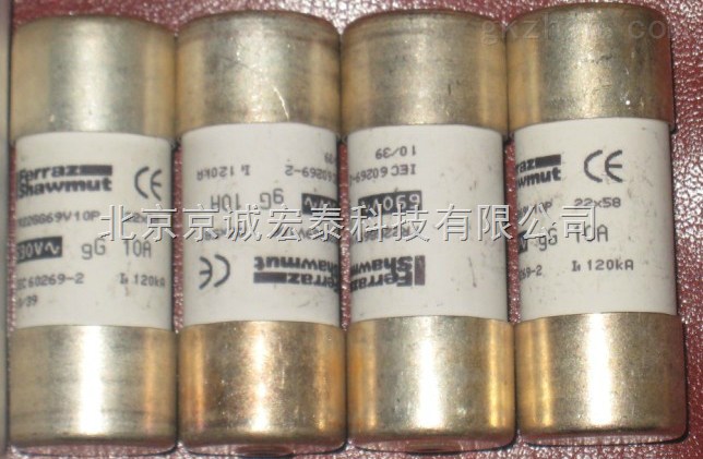 进口罗兰Fuses/Shawmut/快熔 690V 10A FR22GG69V10P